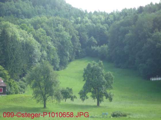 099-©steger-P1010658