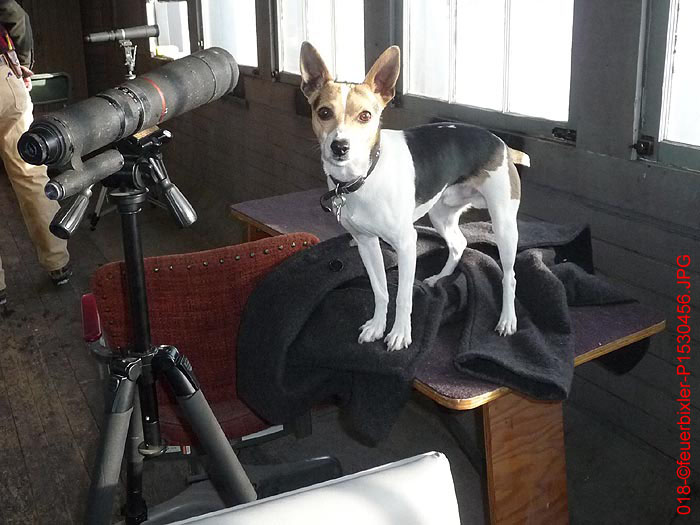 018-©feuerbixler-P1530456