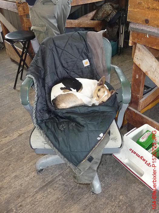 164-©feuerbixler-P1530723